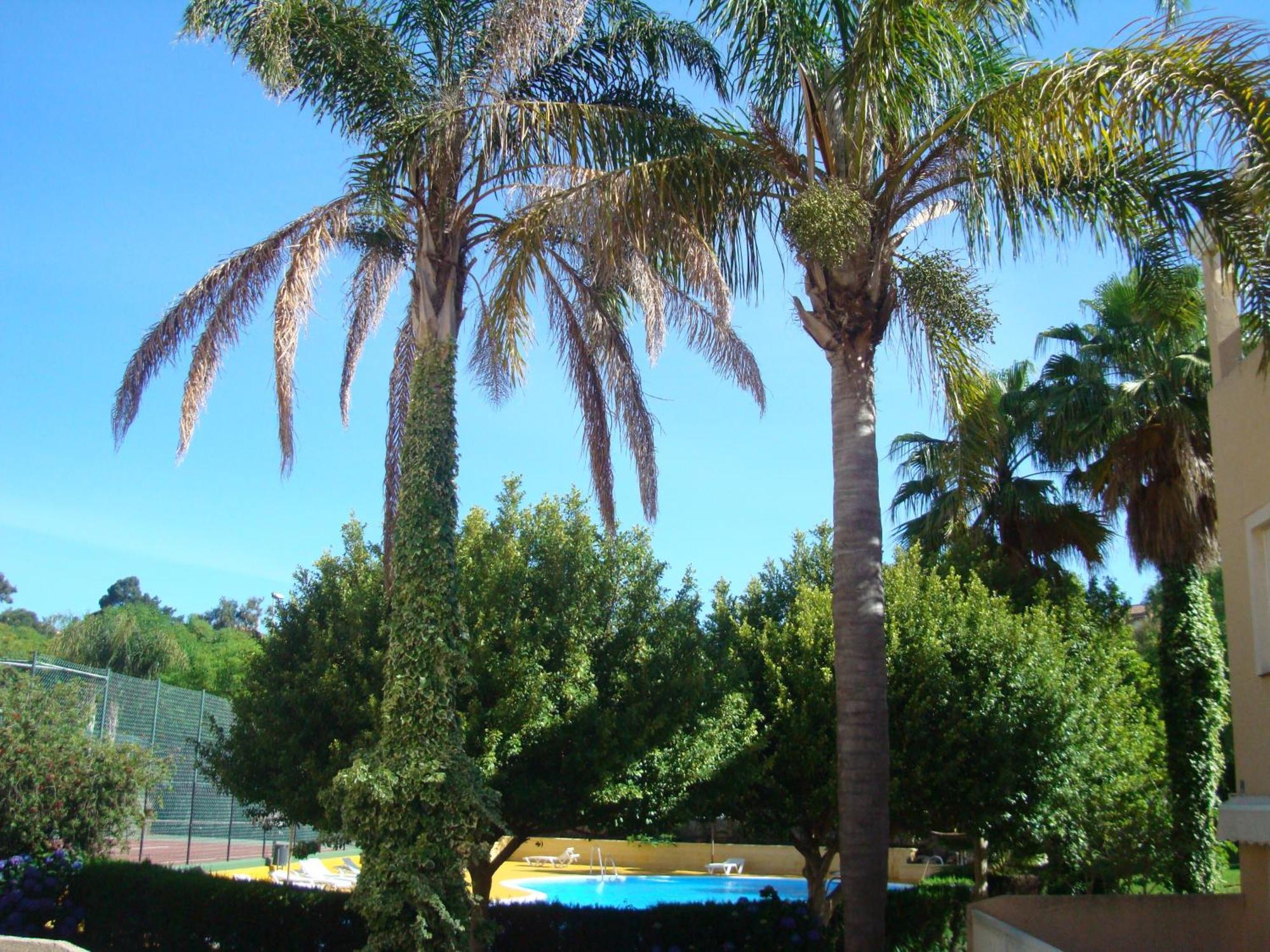 Apartament Islantur Ipanema Islantilla Zewnętrze zdjęcie